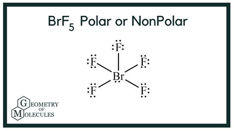 brf5 polar or not